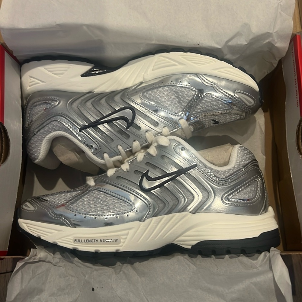 Nike Air Pegasus 2005